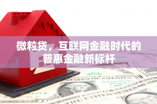 嵊泗微粒贷，互联网金融时代的普惠金融新标杆