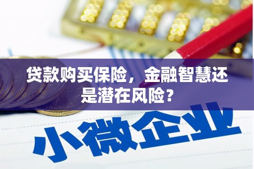 嵊泗贷款购买保险，金融智慧还是潜在风险？