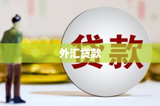 嵊泗外汇贷款