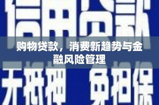 嵊泗购物贷款，消费新趋势与金融风险管理