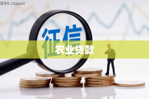 嵊泗农业贷款