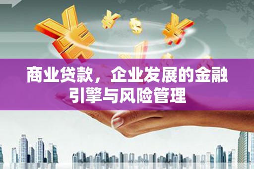 嵊泗商业贷款，企业发展的金融引擎与风险管理