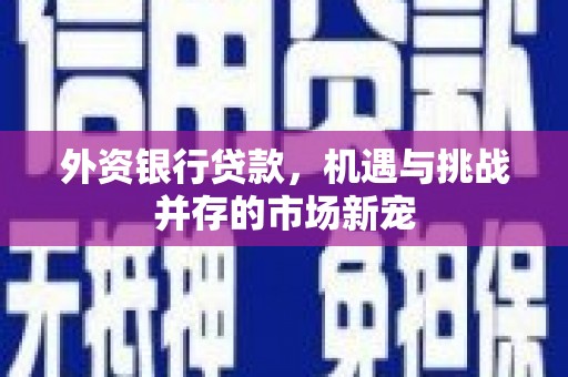 嵊泗外资银行贷款，机遇与挑战并存的市场新宠