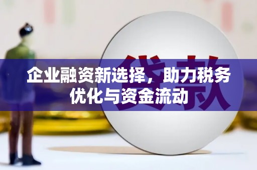 嵊泗企业融资新选择，助力税务优化与资金流动
