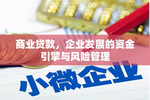 嵊泗商业贷款，企业发展的资金引擎与风险管理