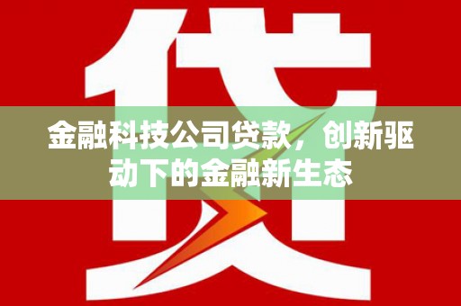 嵊泗金融科技公司贷款，创新驱动下的金融新生态