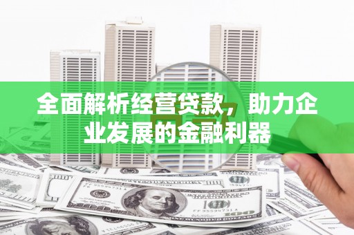 嵊泗全面解析经营贷款，助力企业发展的金融利器