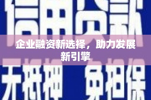 嵊泗企业融资新选择，助力发展新引擎