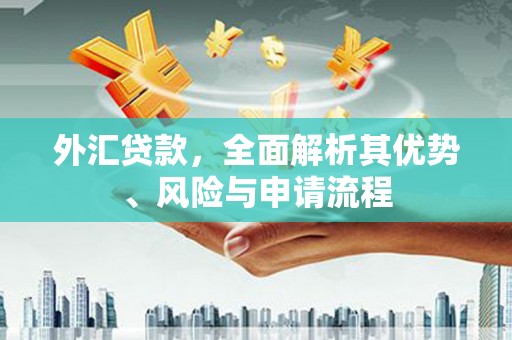 嵊泗外汇贷款，全面解析其优势、风险与申请流程