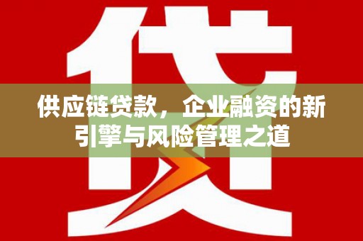 嵊泗供应链贷款，企业融资的新引擎与风险管理之道
