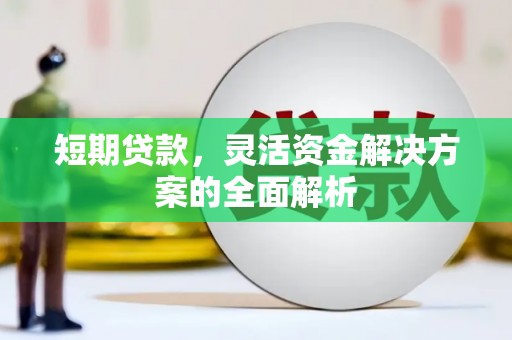 嵊泗短期贷款，灵活资金解决方案的全面解析