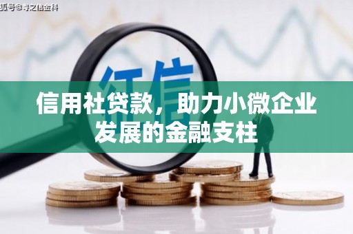 嵊泗信用社贷款，助力小微企业发展的金融支柱