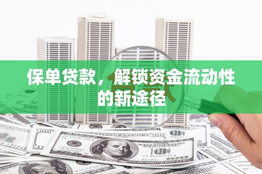 嵊泗保单贷款，解锁资金流动性的新途径