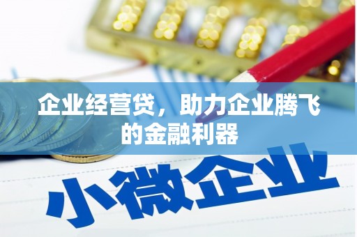 嵊泗企业经营贷，助力企业腾飞的金融利器