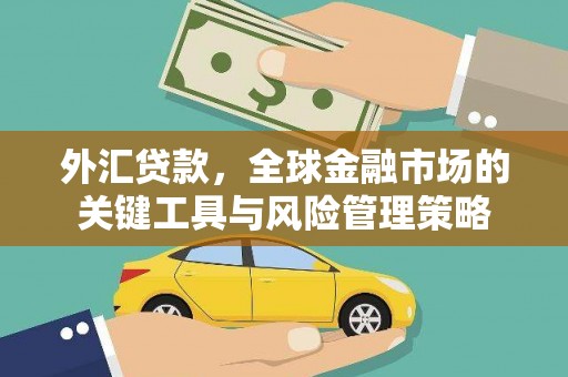 嵊泗外汇贷款，全球金融市场的关键工具与风险管理策略