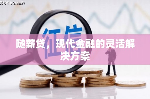 嵊泗随薪贷，现代金融的灵活解决方案