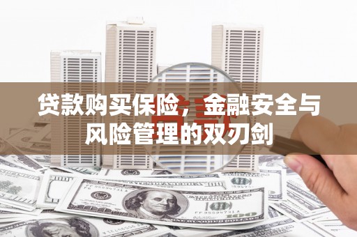嵊泗贷款购买保险，金融安全与风险管理的双刃剑