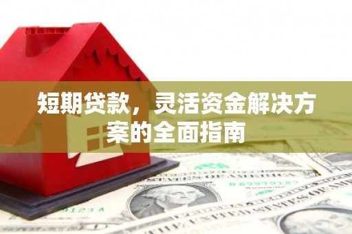 嵊泗短期贷款，灵活资金解决方案的全面指南