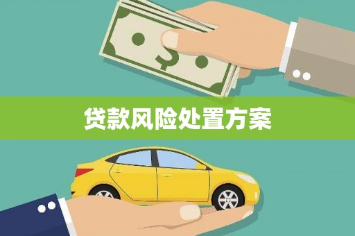 嵊泗贷款风险处置方案