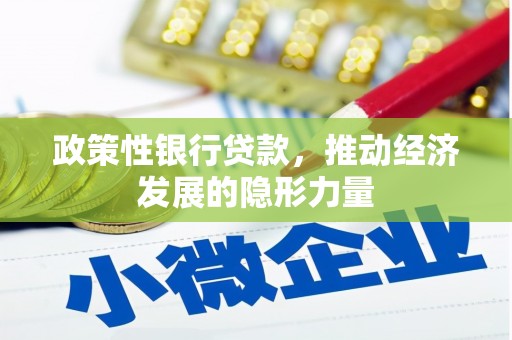 嵊泗政策性银行贷款，推动经济发展的隐形力量