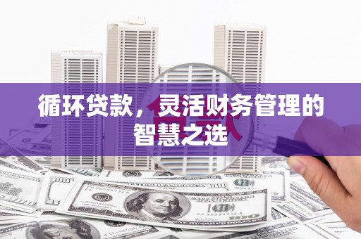 嵊泗循环贷款，灵活财务管理的智慧之选