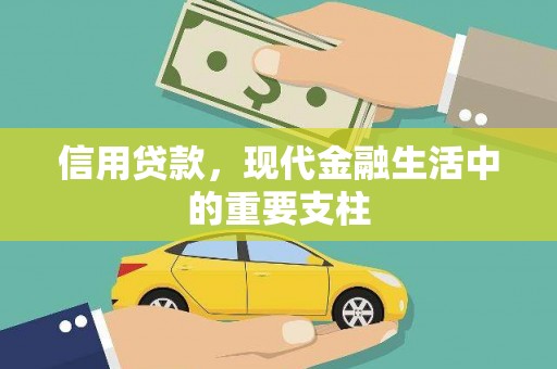嵊泗信用贷款，现代金融生活中的重要支柱