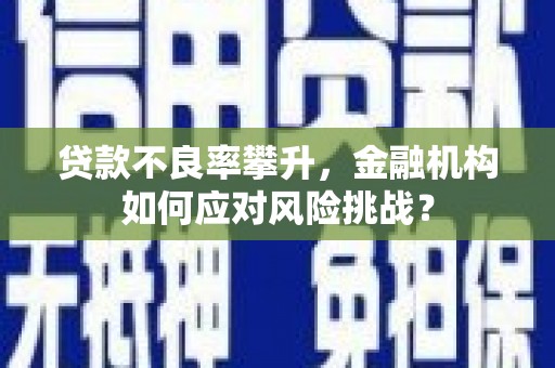 嵊泗贷款不良率攀升，金融机构如何应对风险挑战？
