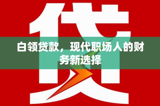 嵊泗白领贷款，现代职场人的财务新选择
