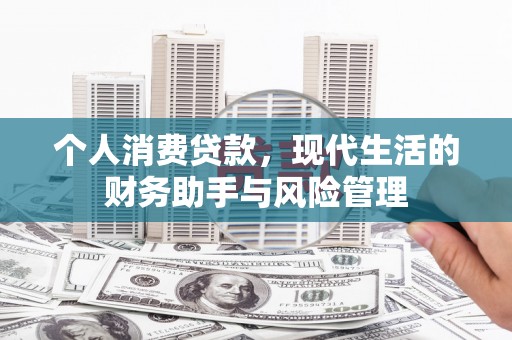嵊泗个人消费贷款，现代生活的财务助手与风险管理