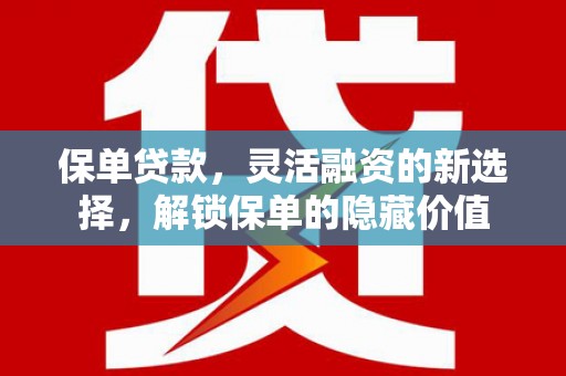 嵊泗保单贷款，灵活融资的新选择，解锁保单的隐藏价值