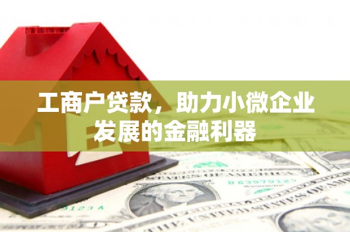 嵊泗工商户贷款，助力小微企业发展的金融利器