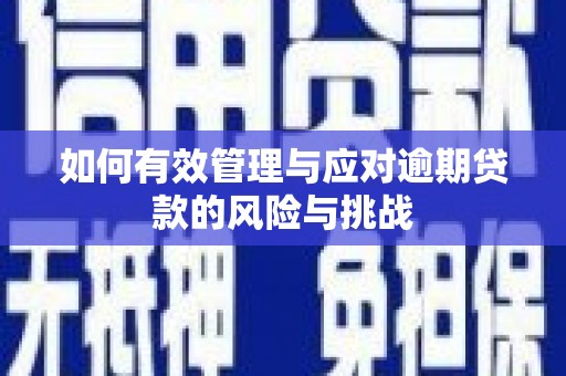 嵊泗如何有效管理与应对逾期贷款的风险与挑战