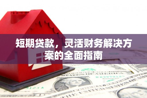 嵊泗短期贷款，灵活财务解决方案的全面指南