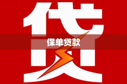 嵊泗保单贷款