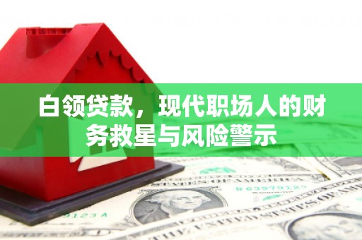 嵊泗白领贷款，现代职场人的财务救星与风险警示