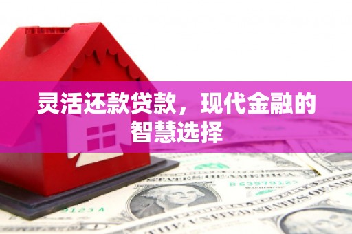 嵊泗灵活还款贷款，现代金融的智慧选择