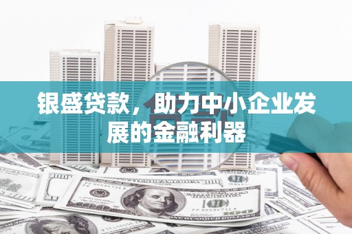 嵊泗银盛贷款，助力中小企业发展的金融利器