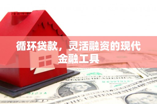 嵊泗循环贷款，灵活融资的现代金融工具