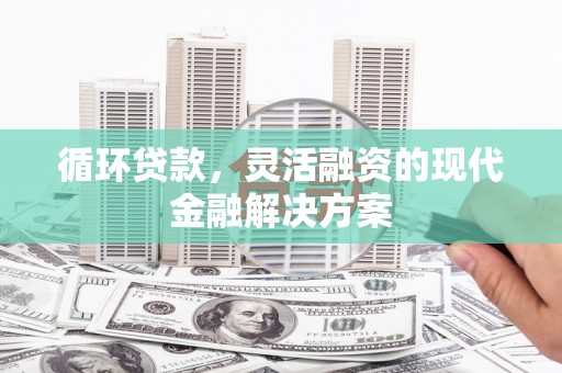 嵊泗循环贷款，灵活融资的现代金融解决方案