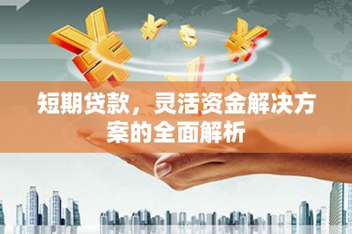 嵊泗短期贷款，灵活资金解决方案的全面解析
