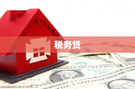 嵊泗税务贷
