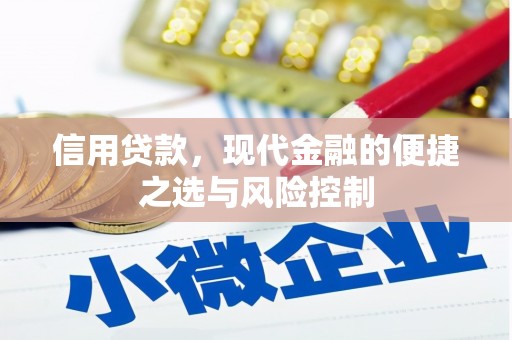 嵊泗信用贷款，现代金融的便捷之选与风险控制