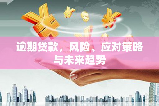 嵊泗逾期贷款，风险、应对策略与未来趋势