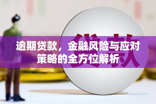 嵊泗逾期贷款，金融风险与应对策略的全方位解析