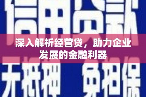 嵊泗深入解析经营贷，助力企业发展的金融利器