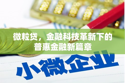 嵊泗微粒贷，金融科技革新下的普惠金融新篇章