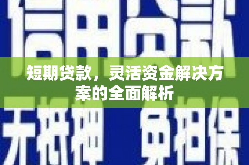 嵊泗短期贷款，灵活资金解决方案的全面解析