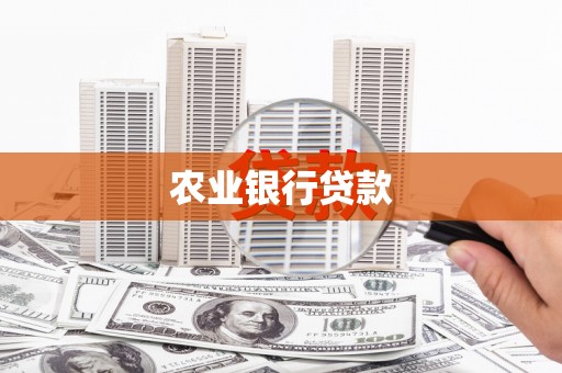 嵊泗农业银行贷款