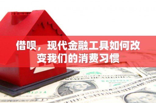 嵊泗借呗，现代金融工具如何改变我们的消费习惯