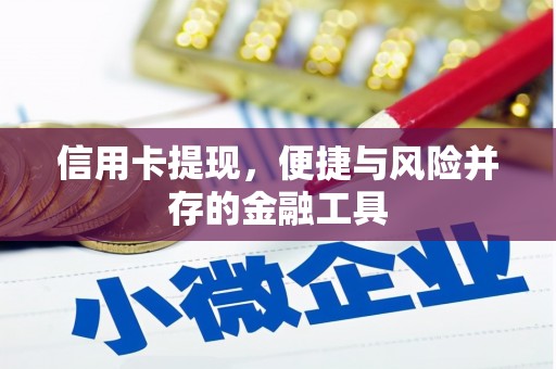 嵊泗信用卡提现，便捷与风险并存的金融工具